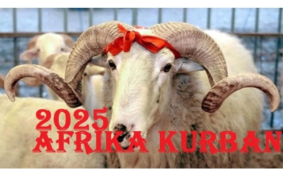 2025 AFRİKA KURBAN BAĞIŞI