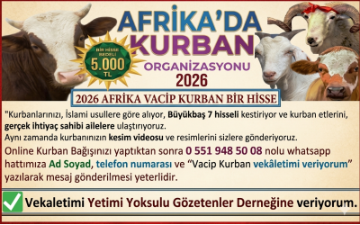 2026 AFRİKA VACİP KURBAN BİR HİSSE