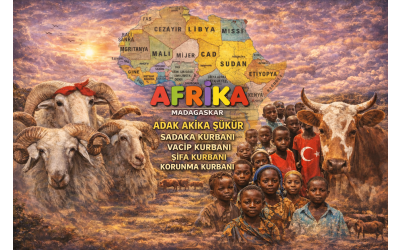 AFRİKA ADAK AKİKA ŞÜKÜR KURBANI