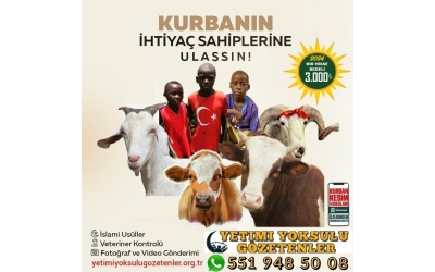 2024 Yılı Afrika Kurban bağış fiyatları açıklandı.