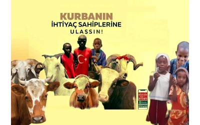 2024 Yılı Kurban bağış fiyatları ne zaman açıklanacak