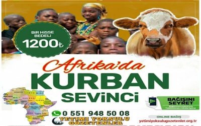 2022 Yılı Kurban bağış fiyatları açıklandı. 