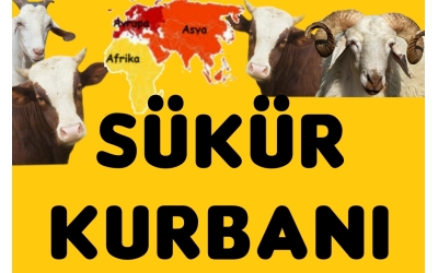 ŞÜKÜR KURBANI