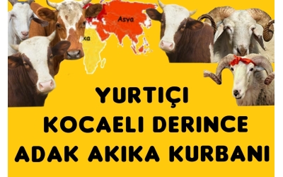 YURTİÇİ ADAK AKİKA ŞÜKÜR KURBANI