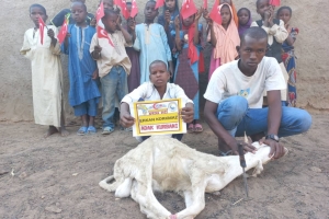 Afrika Nijerya Adak kurban kesimi 2022