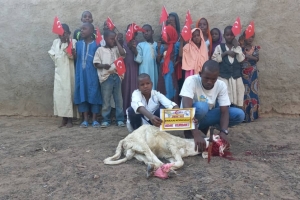 Afrika Nijerya Adak kurban kesimi 2022