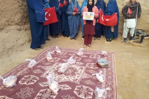 Afganistan cevizcan Türkmen köyleri akika kutban kesimi 2022