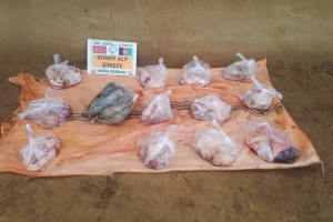 Afganistan cevizcan Türkmen köyleri akika kutban kesimi 2022