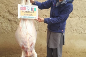 Afganistan cevizcan Türkmen köyleri akika kutban kesimi 2022