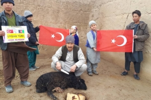 Afganistan Adak kurban kesimi 2022