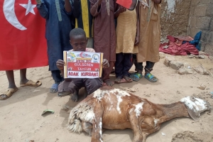 Afrika Nijer cumhuriyeti adak kurban kesim ve dağıtım