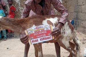 Afrika Nijer cumhuriyeti adak kurban kesim ve dağıtım