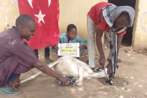 Afrika Benin'de Sadaka kurban kesip yoksul ailelere dağıttık