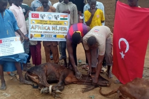 Afrika Nijer kurban kesim ve dağıtım organizasyonu Kurban Bayramı Temmuz 2022 20 Görsel