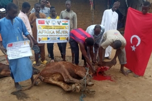 Afrika Nijer kurban kesim ve dağıtım organizasyonu Kurban Bayramı Temmuz 2022 20 Görsel