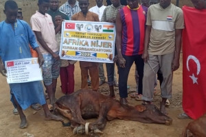 Afrika Nijer kurban kesim ve dağıtım organizasyonu Kurban Bayramı Temmuz 2022 20 Görsel