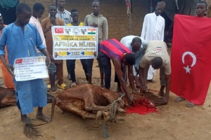 Afrika Nijer kurban kesim ve dağıtım organizasyonu Kurban Bayramı Temmuz 2022 20 Görsel