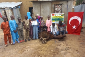Afrika Togo kurban kesim ve dağıtım organizasyonu Kurban Bayramı Temmuz 2022 20 Görsel