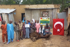 Afrika Togo kurban kesim ve dağıtım organizasyonu Kurban Bayramı Temmuz 2022 20 Görsel