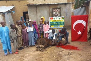 Afrika Togo kurban kesim ve dağıtım organizasyonu Kurban Bayramı Temmuz 2022 20 Görsel