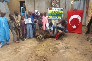 Afrika Togo kurban kesim ve dağıtım organizasyonu Kurban Bayramı Temmuz 2022 20 Görsel