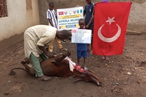 Afrika Nijerya kurban kesim ve dağıtım organizasyonu Kurban Bayramı Temmuz 2022 20 Görsel