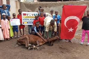 Afrika Nijerya kurban kesim ve dağıtım organizasyonu Kurban Bayramı Temmuz 2022 20 Görsel
