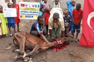 Afrika Nijerya kurban kesim ve dağıtım organizasyonu Kurban Bayramı Temmuz 2022 20 Görsel
