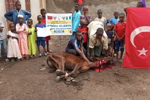 Afrika Nijerya kurban kesim ve dağıtım organizasyonu Kurban Bayramı Temmuz 2022 20 Görsel