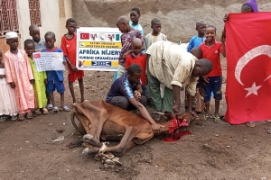 Afrika Nijerya kurban kesim ve dağıtım organizasyonu Kurban Bayramı Temmuz 2022 20 Görsel