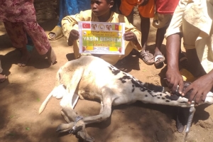 Afrika Çad Vacip Kurban kesimi ve dağıtımı Kurban Bayramı Temmuz 2022