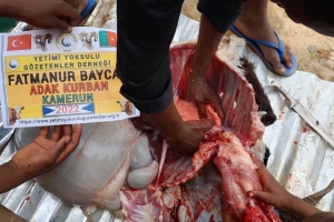 Afrika Kamerun Adak kurban kesimi ve ihtiyaç sahibi ailelere dağıtımı Temmuz 2022