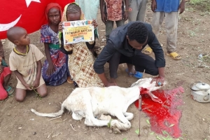 Afrika Kamerun Adak kurban kesimi ve yetim yoksul ailelere dağıtımı Temmuz 2022