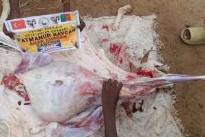 Afrika Kamerun Adak kurban kesimi ve yetim yoksul ailelere dağıtımı Temmuz 2022