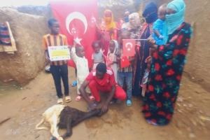 Afrika BENİN Adak kurban kesimi Eylül 2022 Yetimi yoksulu gozetenler derneği 