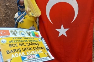 Afrika BENİN Adak kurban kesimi Eylül 2022 Yetimi yoksulu gozetenler derneği 
