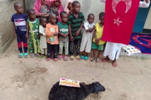 Afrika Kamerun Adak kurbani kesilip yetim yoksul ailelere dağıtıldı Eylül 2022