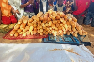 Afrika Benin'de yetim ve yoksul ailelere ekmek dağıtımı yapıldı Yetimi ve yoksulu gözetenler Derneği Eylül 2022