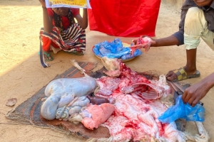 Afrika Kamerun bölgesinde Şükür kurbanı kesip yetim ve yoksul ailelere dağıtıldı Yetimi yoksulu gozetenler derneği Eylül 2022