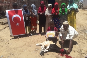 Afrika Madagaskar bölgesinde sağlık ve şükür için kurban kesimi yapılıp yoksul ailelere dagitildi