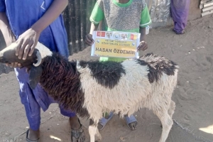 Afrika Kamerun şükür kurbanı kesin ve dağıtımı yapıldı