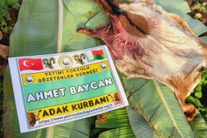 Afrika Uganda Adak kurbanı kesimi Aralık 2022 