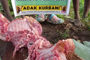 Afrika Uganda Adak kurbanı kesimi Aralık 2022 