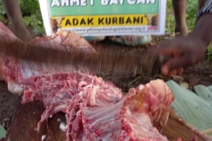 Afrika Uganda Adak kurbanı kesimi Aralık 2022 