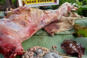 Afrika Uganda Adak kurbanı kesimi Aralık 2022 