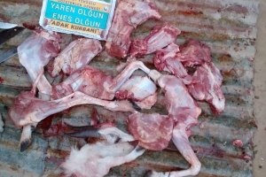 Afrika madagaskar adak kurban kesimi 