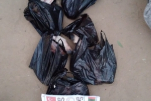 Afrika madagaskar adak kurban kesimi 