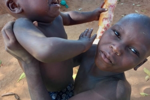 Uganda Kamerun ekmek dağıtımı 