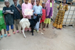 Afrika Kamerun şükür kurbanı kesim organizasyonu