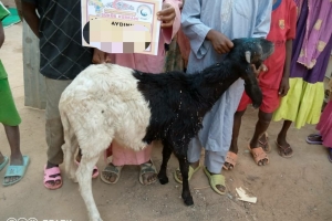 Afrika Kamerun şükür kurbanı kesim organizasyonu